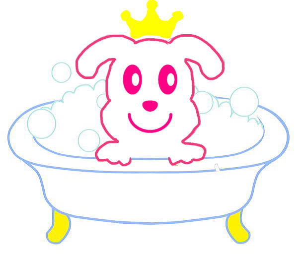 シャワーマシン導入