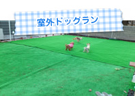 室外ドッグラン