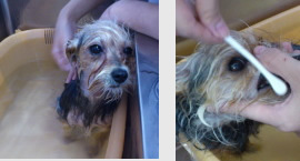 炭酸バスは気持ち良さそう〜♪